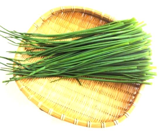 Chữa trị dị ứng da mẩn ngứa