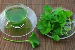 BÍ MẬT 7 ĐỘC CHIÊU TRỊ NÁM TÀN NHANG TẠI NHÀ