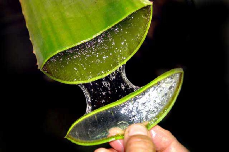 Tuyệt Chiêu Trị Sẹo Rỗ Siêu Hiệu Quả Từ Thiên Nhiên