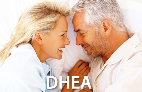 DHEA