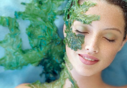 ALGAE